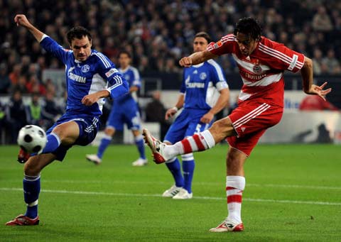 文的职业发 文的职业发