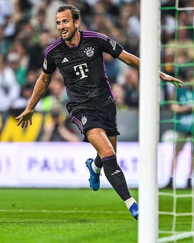 的决定性因 的决定性因